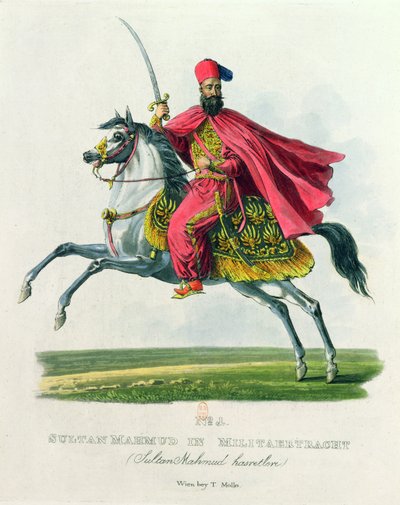 Sultan Mahmud II by Eduard Gurk